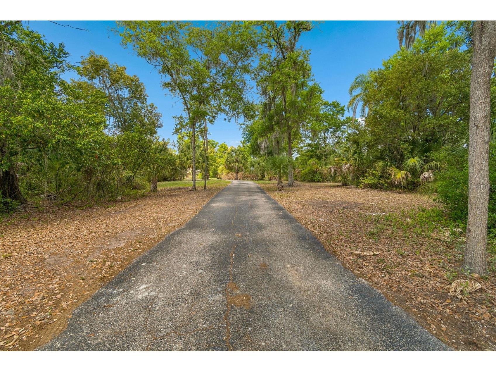 2708 Bell Shoals Road Brandon FL 33511 TB8494012 image64