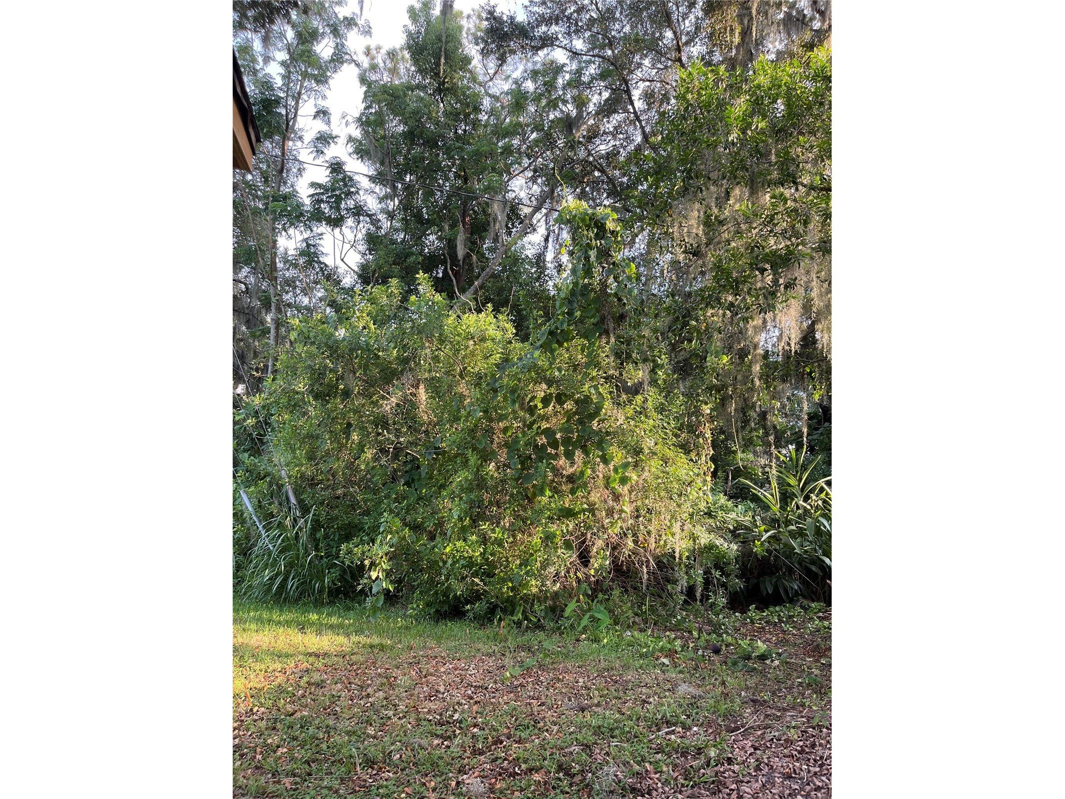 2708 Dixie Road Lakeland FL 33801 L4962720 image30