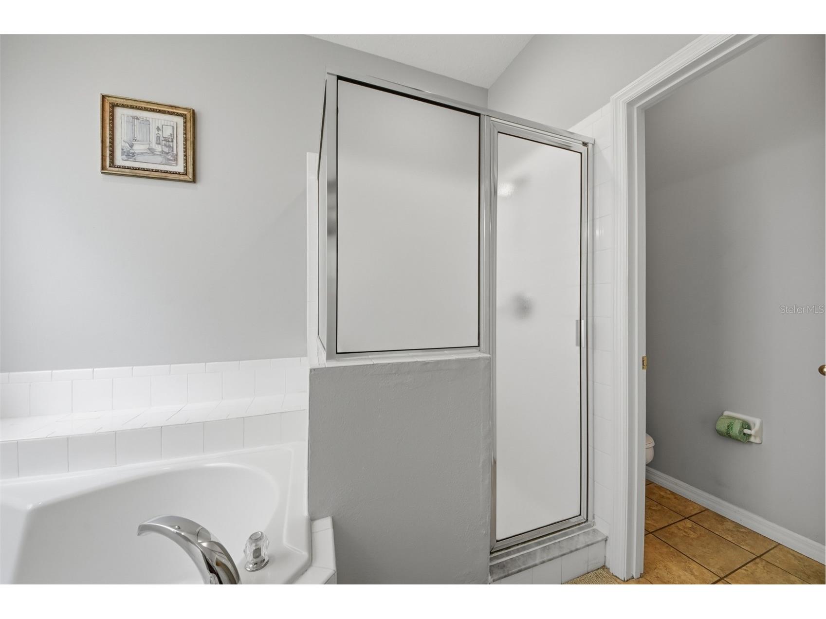2708 Lido Key Drive Kissimmee FL 34747 O6418956 image12