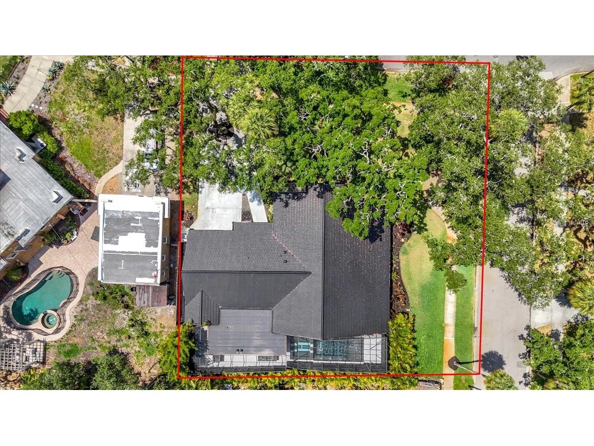 2708 N Dundee Street Tampa FL 33629 TB8512210 image60