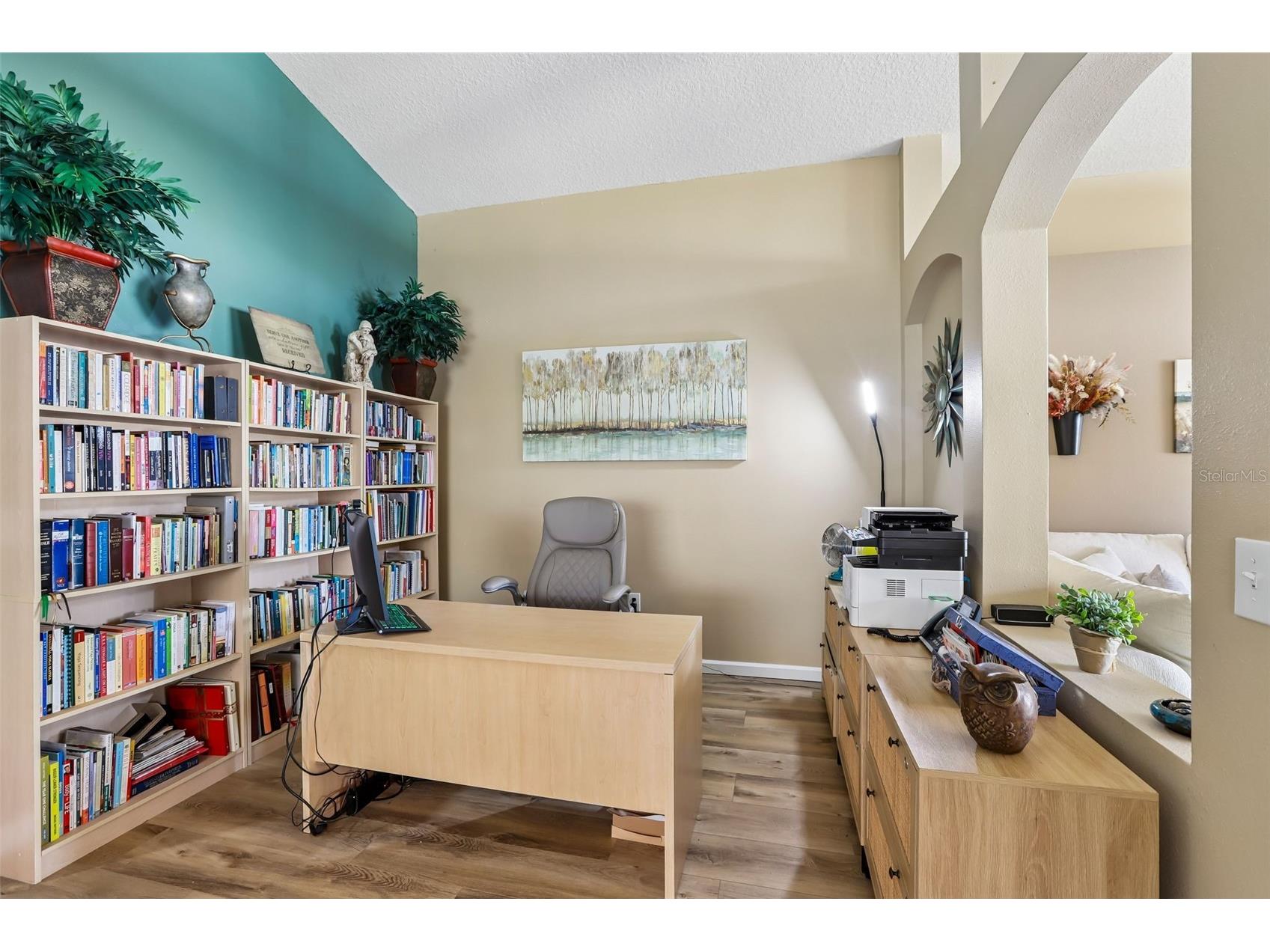 2708 Valencia Grove Drive Valrico FL 33596 TB8514882 image35
