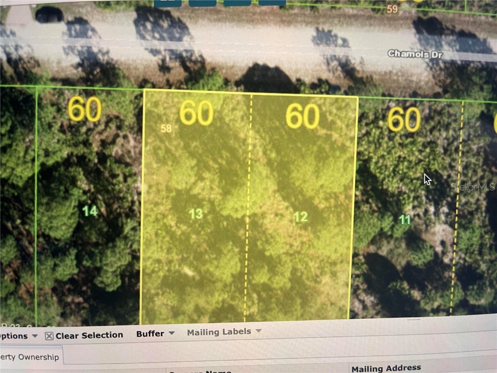 27087 Chamois Drive Punta Gorda FL 33955 A4543345 image1