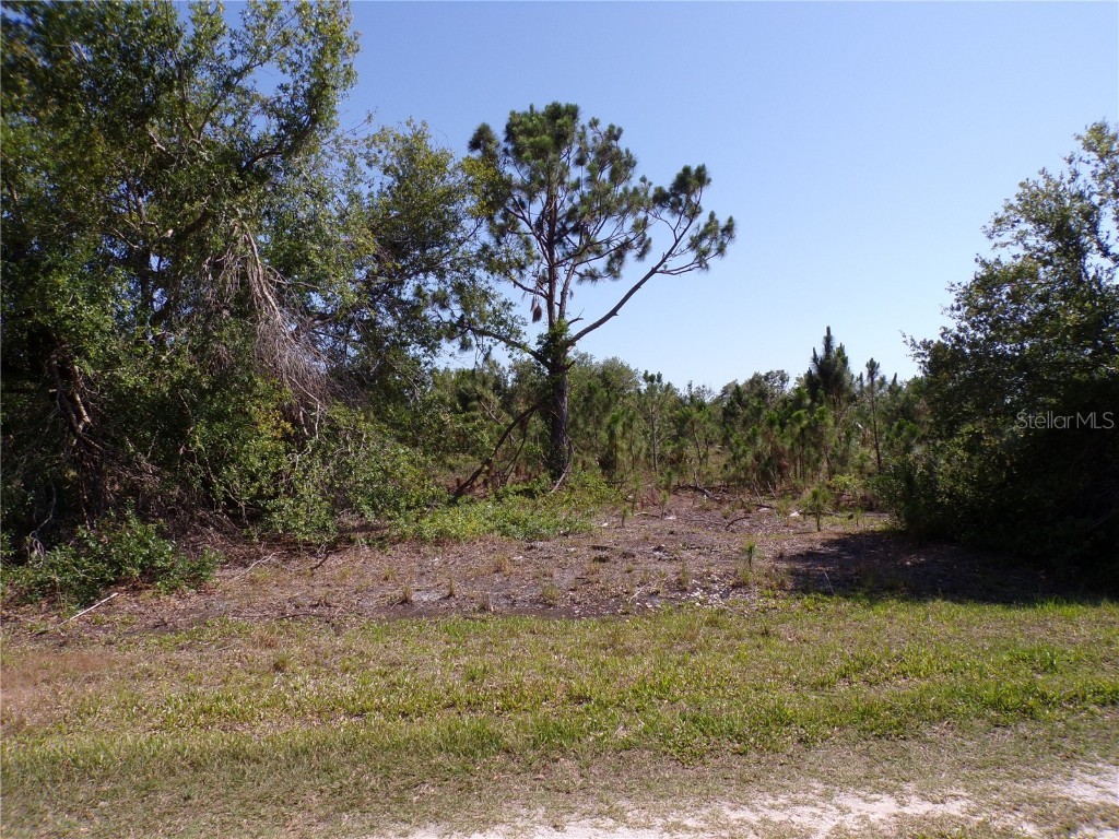 27087 San Pablo Drive Punta Gorda FL 33955 C7475255 image1