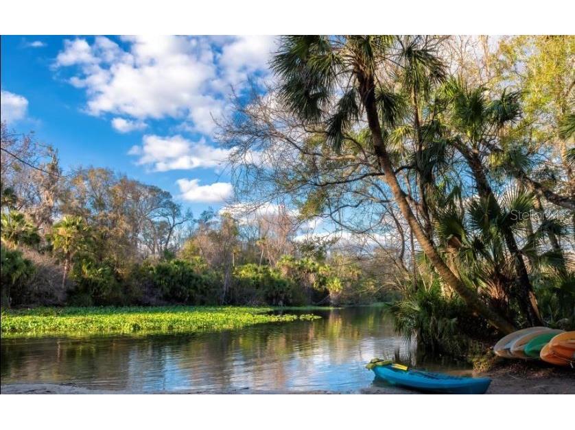 2709 Arbor Dune Avenue Apopka FL 32712 O6360998 image18