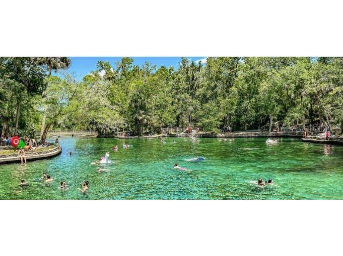 2709 Arbor Dune Avenue Apopka FL 32712 O6360998 image19