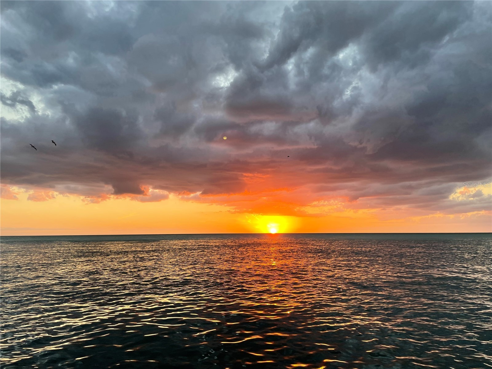 2709 Casey Key Road Nokomis FL 34275 - GULF OF MEXICO A4564225 image22