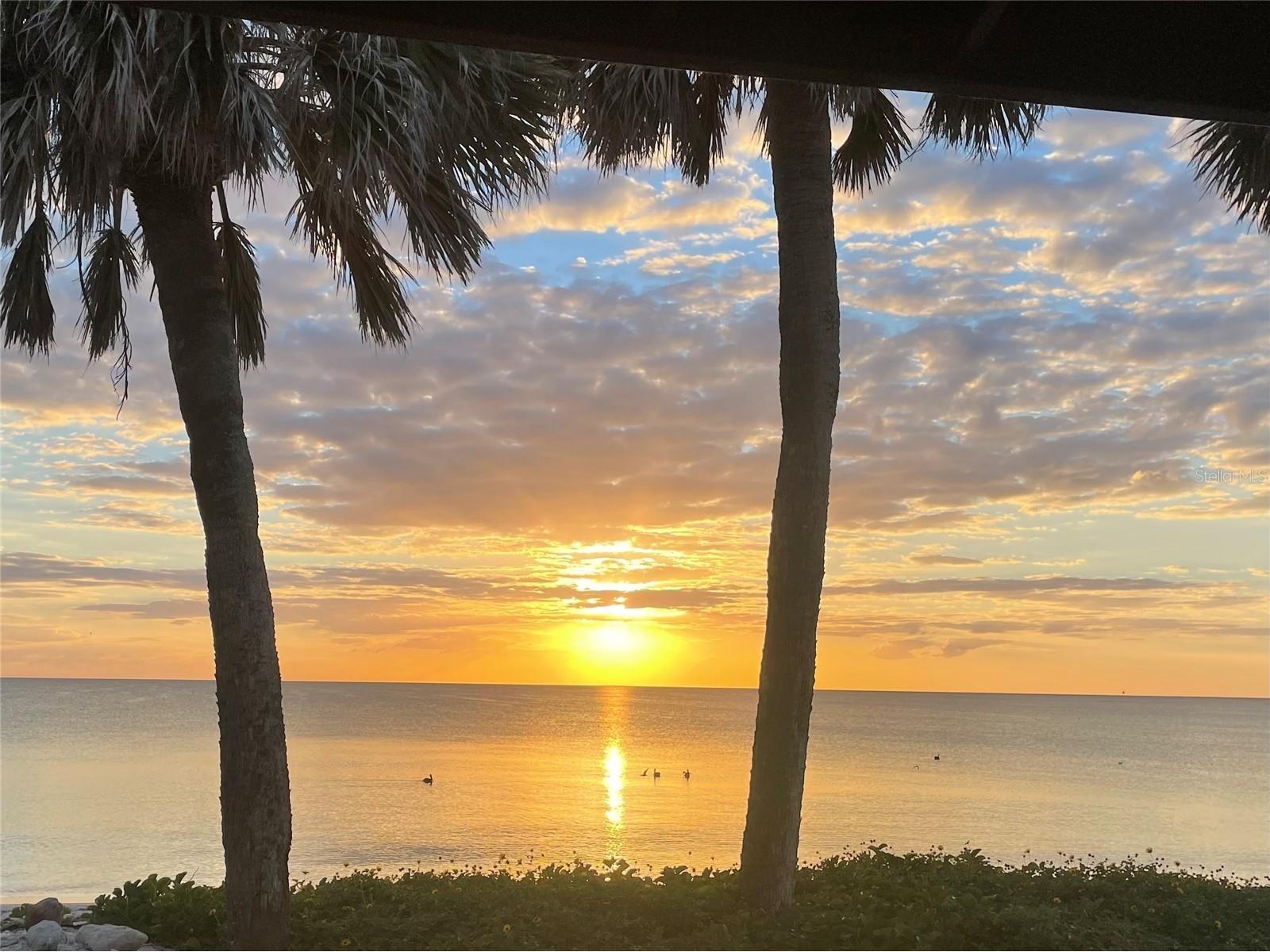 2709 Casey Key Road Nokomis FL 34275 - GULF OF MEXICO A4564225 image32