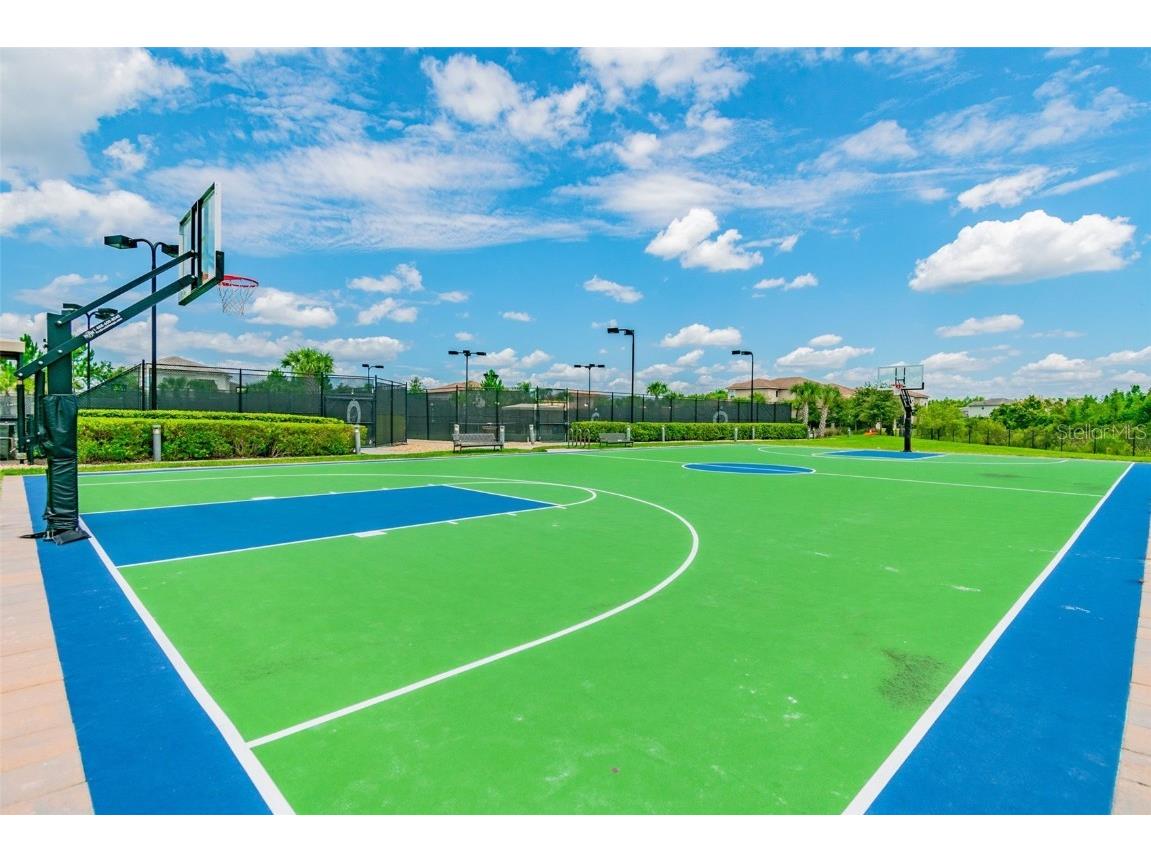 2709 Coco Palm Circle Wesley Chapel FL 33543 O6291738 image100