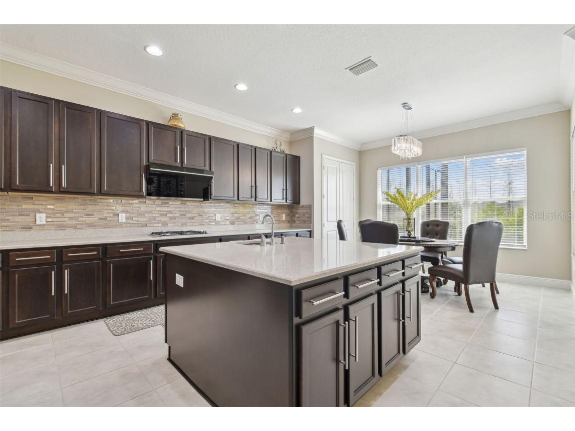 2709 Coco Palm Circle Wesley Chapel FL 33543 O6291738 image33