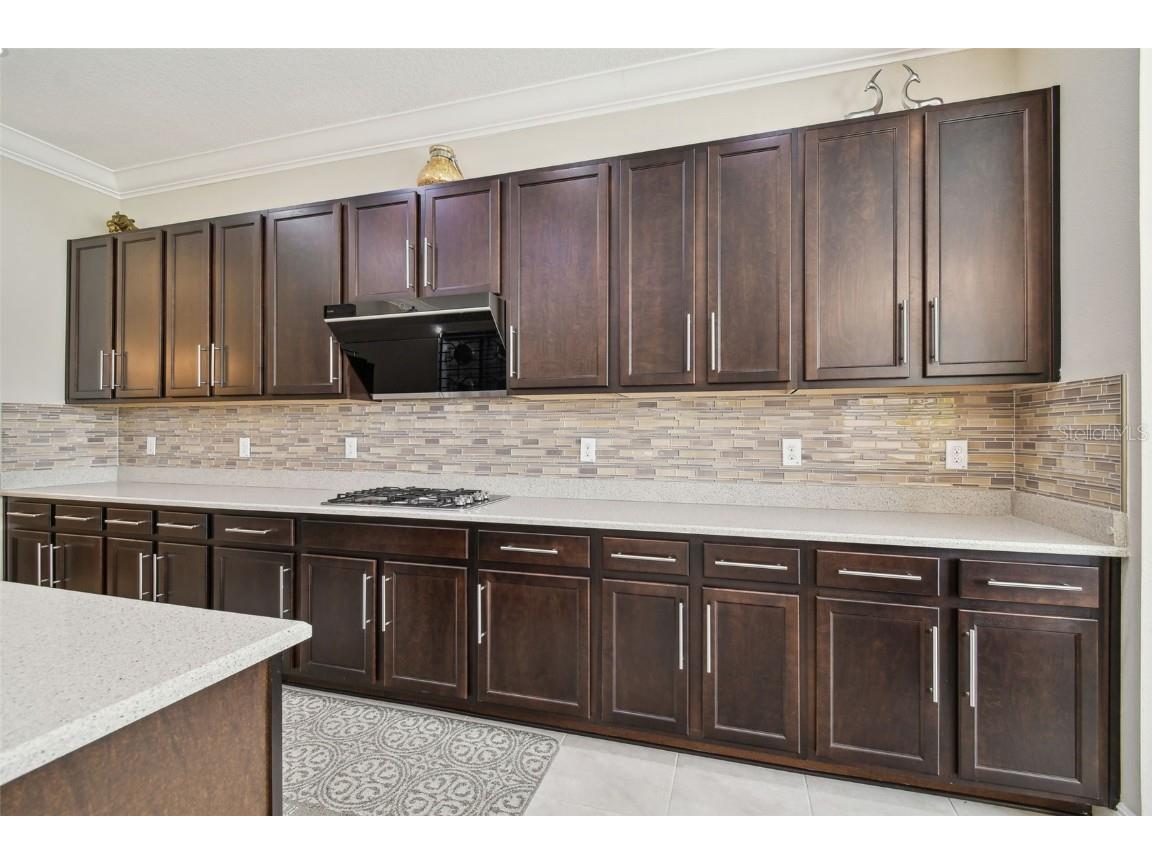 2709 Coco Palm Circle Wesley Chapel FL 33543 O6291738 image35