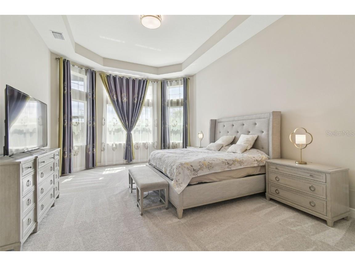 2709 Coco Palm Circle Wesley Chapel FL 33543 O6291738 image41