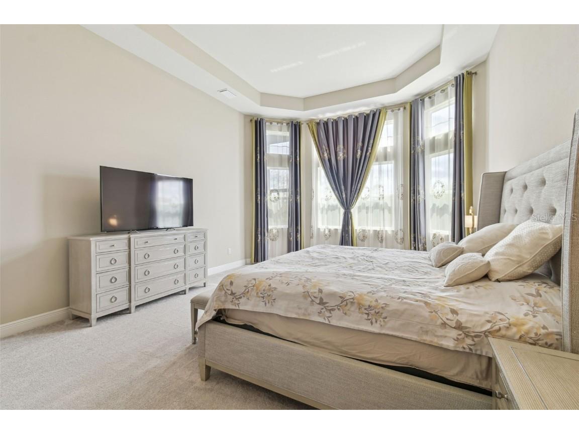 2709 Coco Palm Circle Wesley Chapel FL 33543 O6291738 image42