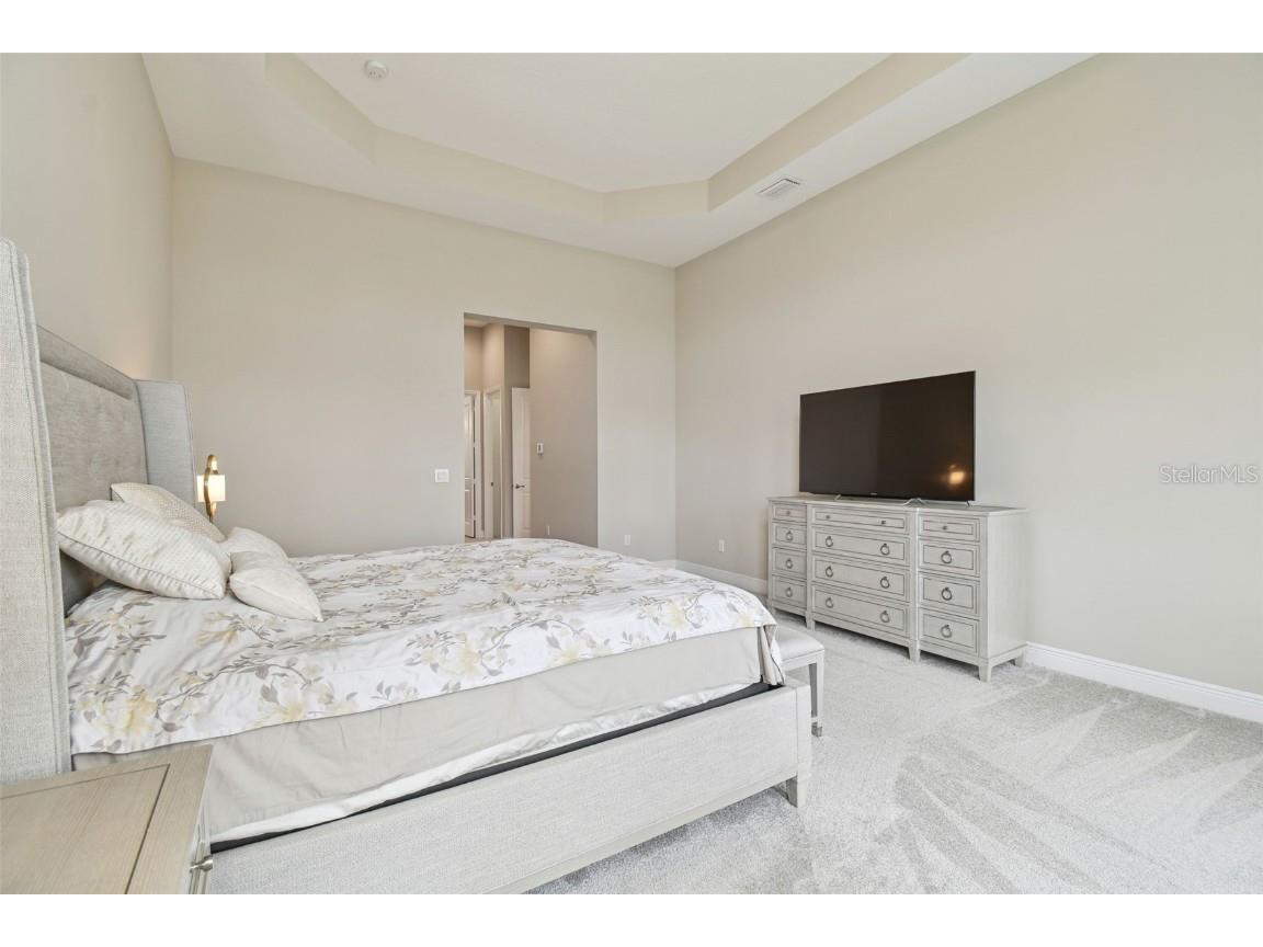 2709 Coco Palm Circle Wesley Chapel FL 33543 O6291738 image43