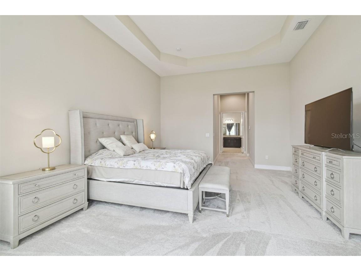 2709 Coco Palm Circle Wesley Chapel FL 33543 O6291738 image44