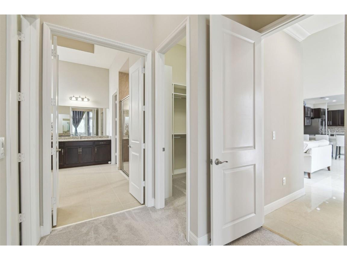 2709 Coco Palm Circle Wesley Chapel FL 33543 O6291738 image45