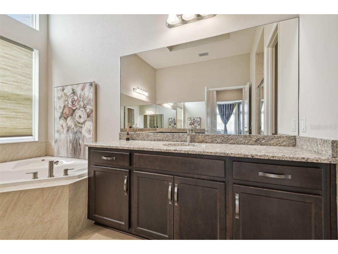 2709 Coco Palm Circle Wesley Chapel FL 33543 O6291738 image49