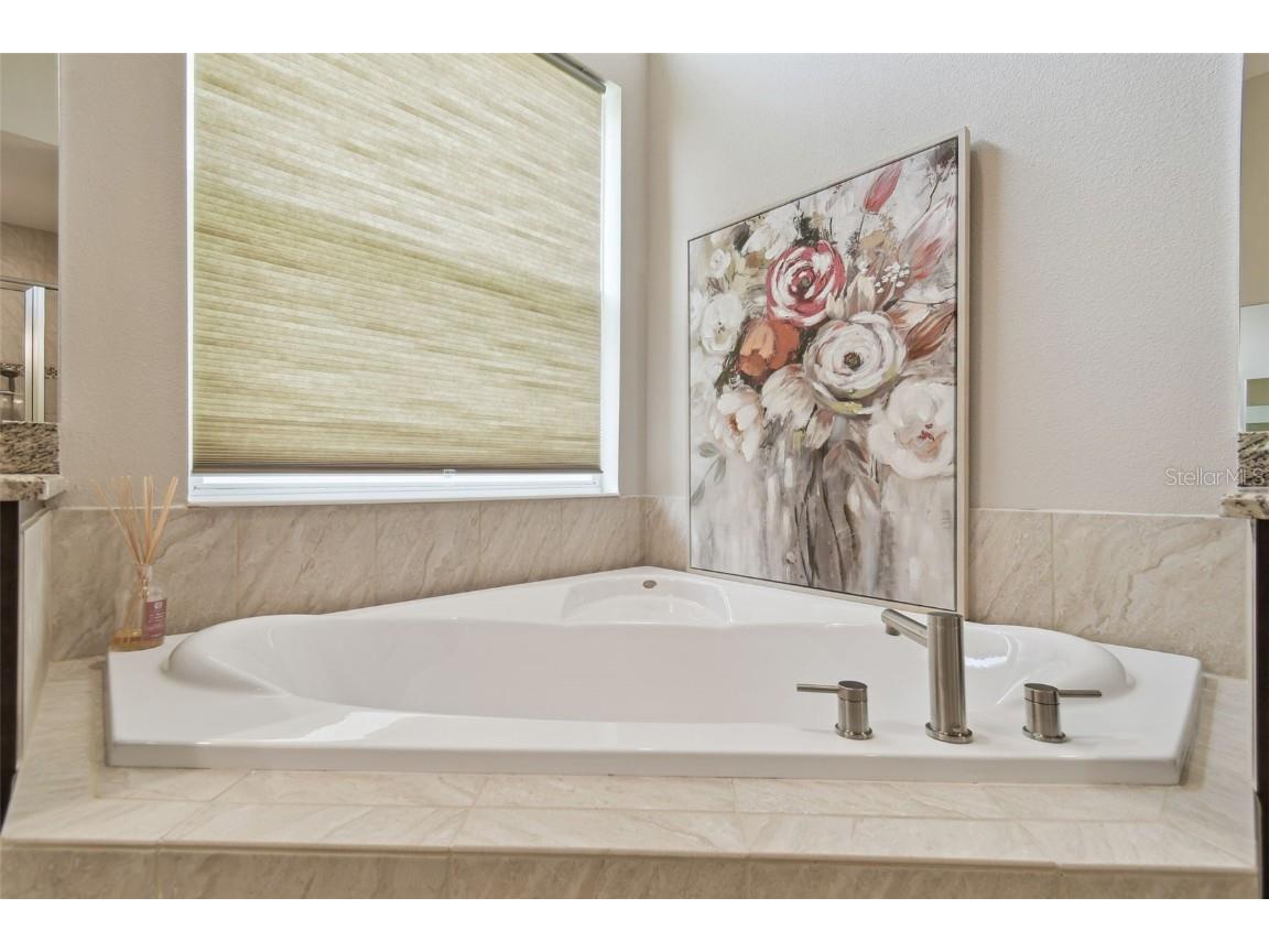 2709 Coco Palm Circle Wesley Chapel FL 33543 O6291738 image54