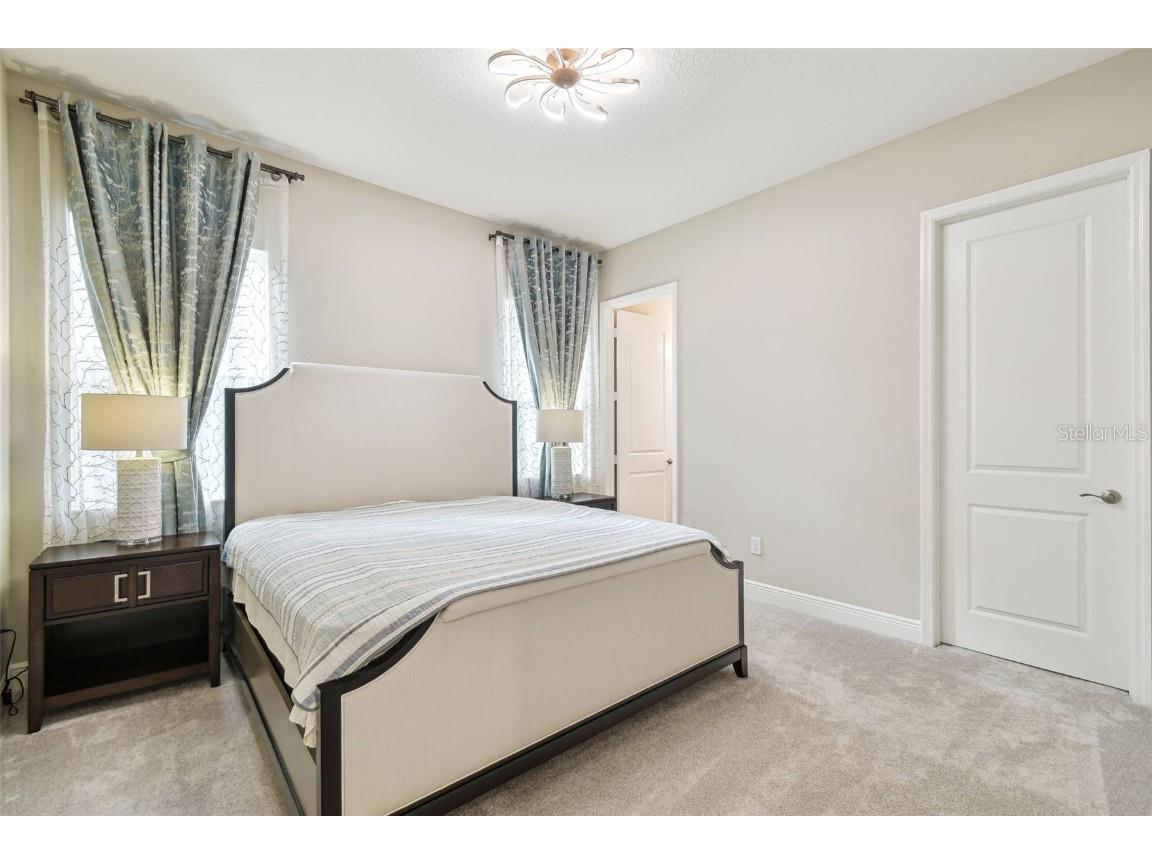 2709 Coco Palm Circle Wesley Chapel FL 33543 O6291738 image58