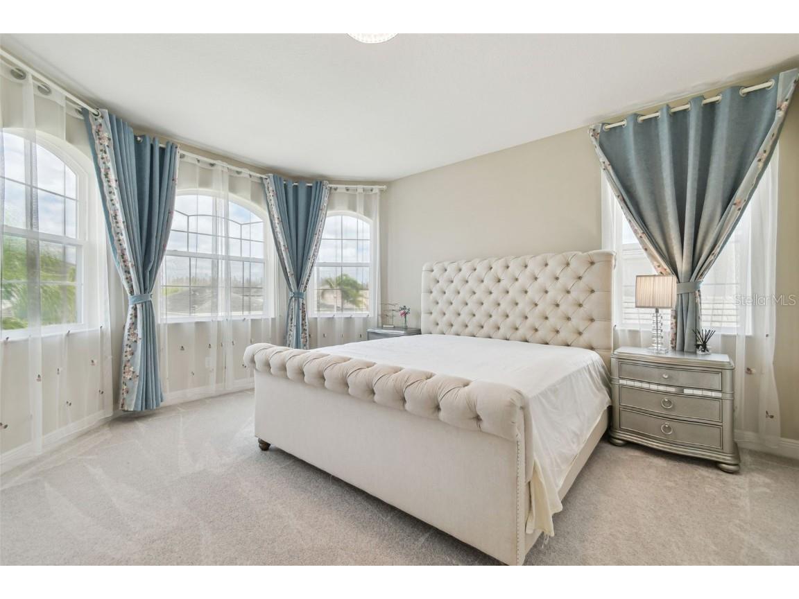 2709 Coco Palm Circle Wesley Chapel FL 33543 O6291738 image65