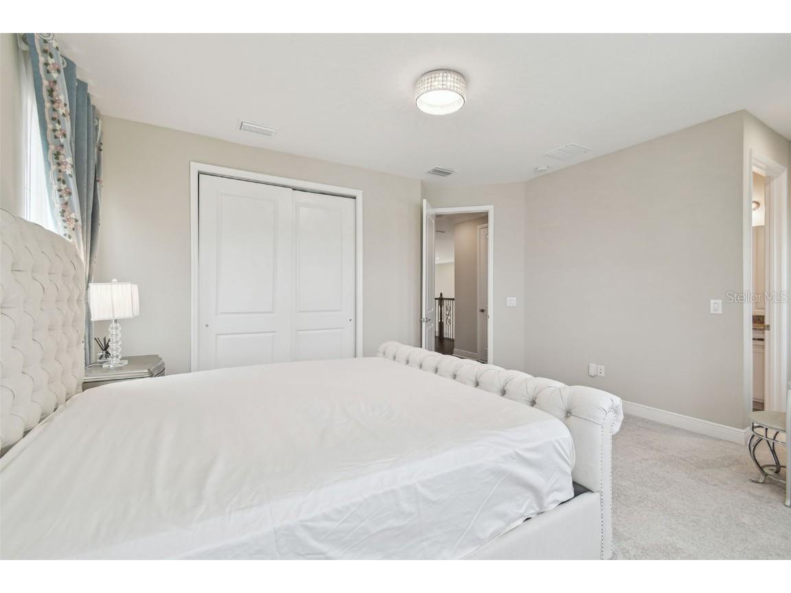 2709 Coco Palm Circle Wesley Chapel FL 33543 O6291738 image66