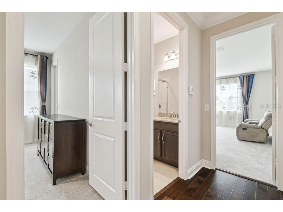 2709 Coco Palm Circle Wesley Chapel FL 33543 O6291738 image70