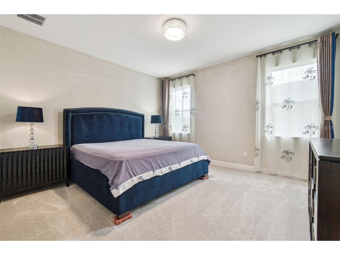 2709 Coco Palm Circle Wesley Chapel FL 33543 O6291738 image71