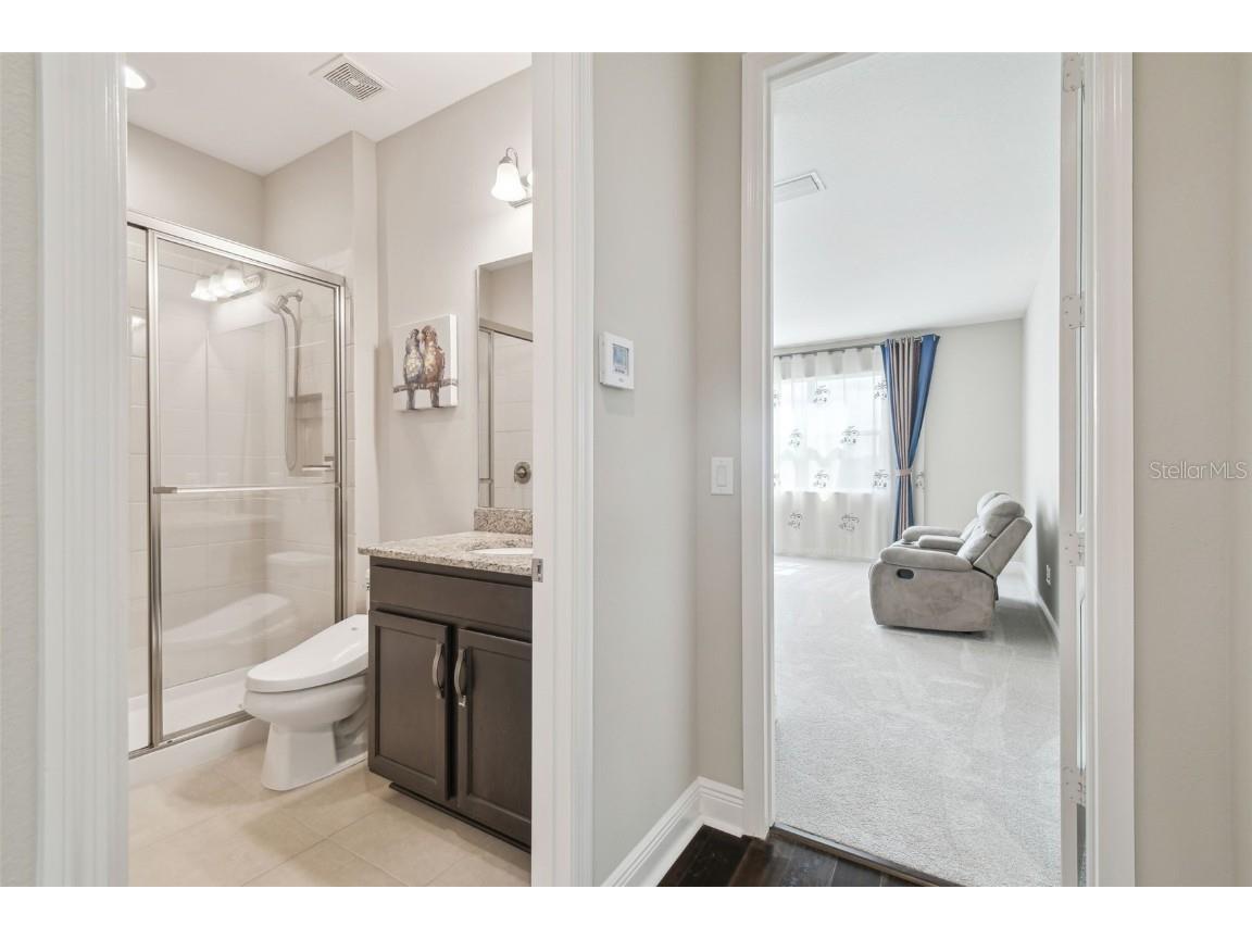 2709 Coco Palm Circle Wesley Chapel FL 33543 O6291738 image73