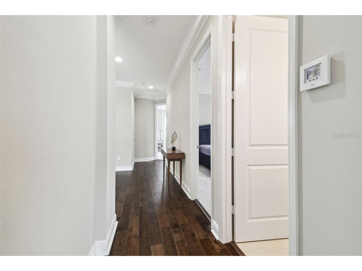 2709 Coco Palm Circle Wesley Chapel FL 33543 O6291738 image78