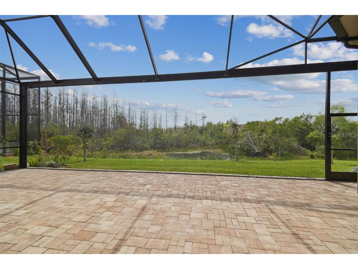 2709 Coco Palm Circle Wesley Chapel FL 33543 O6291738 image82