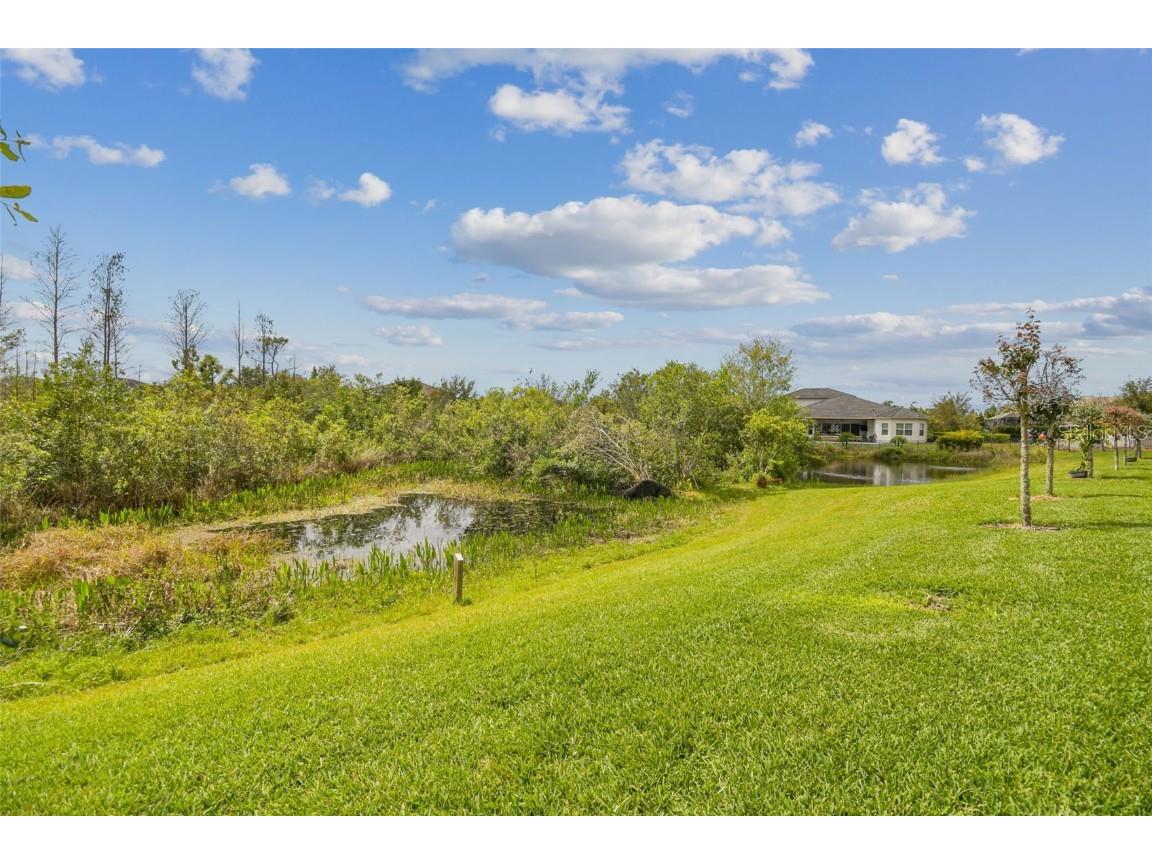 2709 Coco Palm Circle Wesley Chapel FL 33543 O6291738 image88