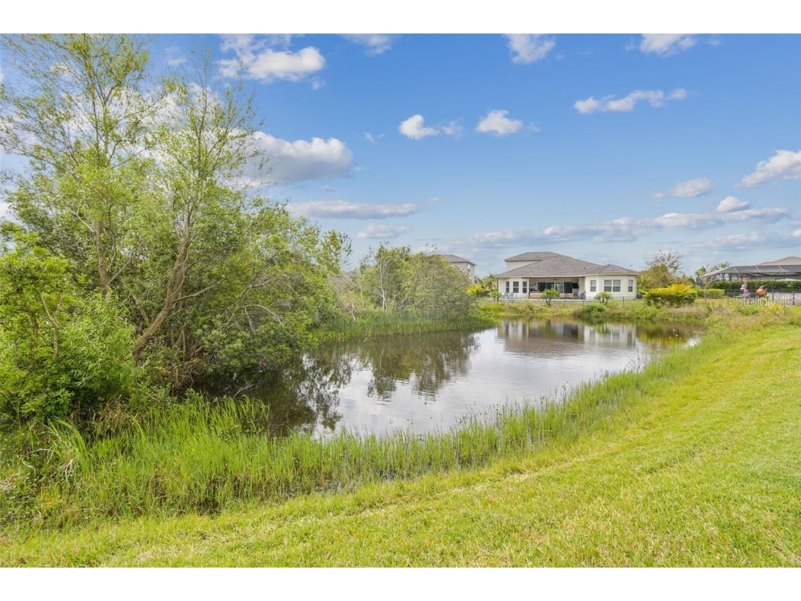 2709 Coco Palm Circle Wesley Chapel FL 33543 O6291738 image89