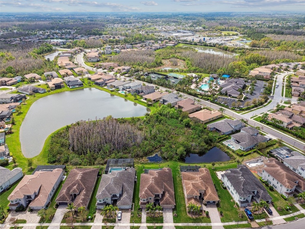 2709 Coco Palm Circle Wesley Chapel FL 33543 O6291738 image91