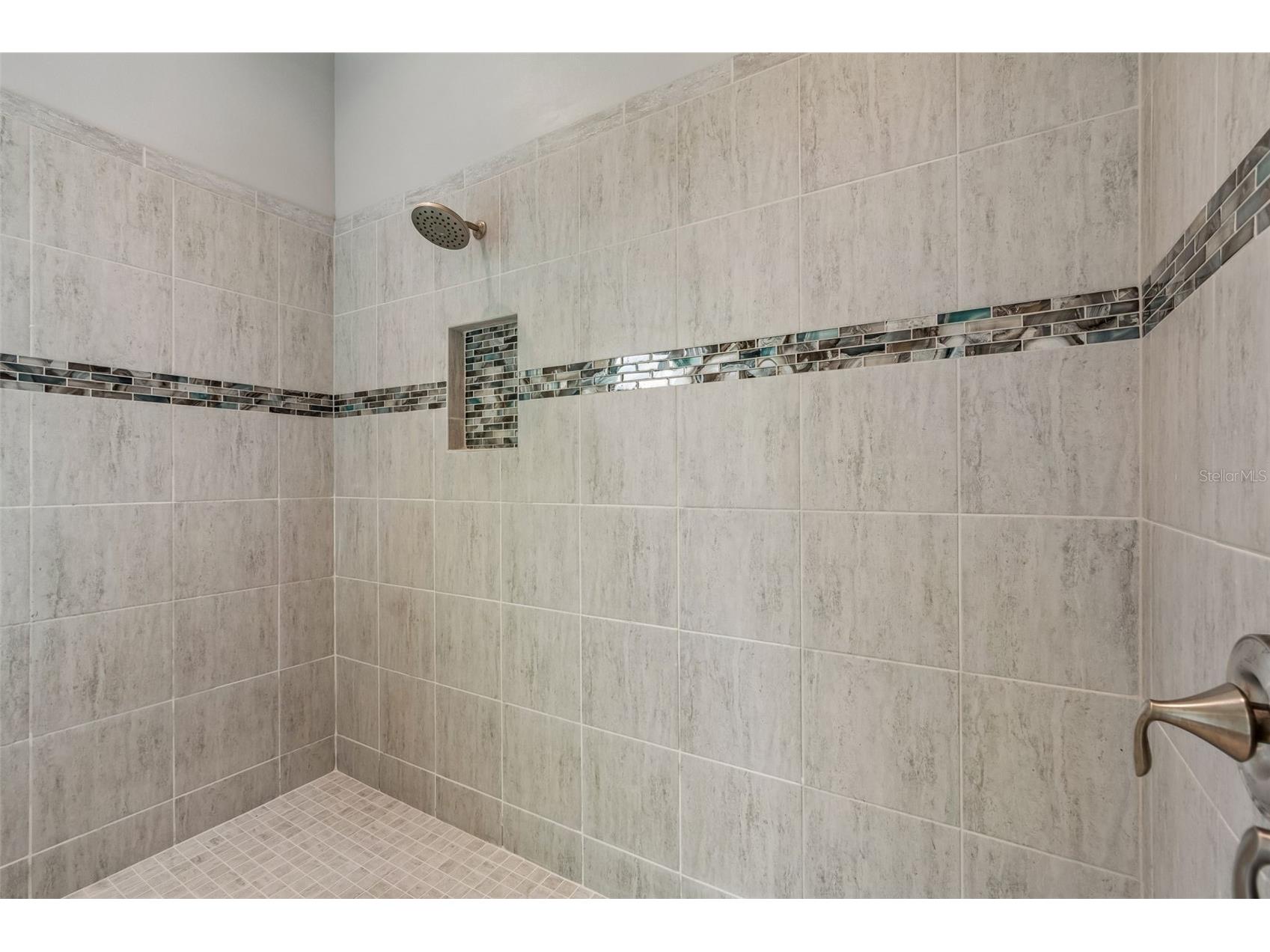2709 Cordoba Ranch Boulevard Lutz FL 33559 TB8515820 image53