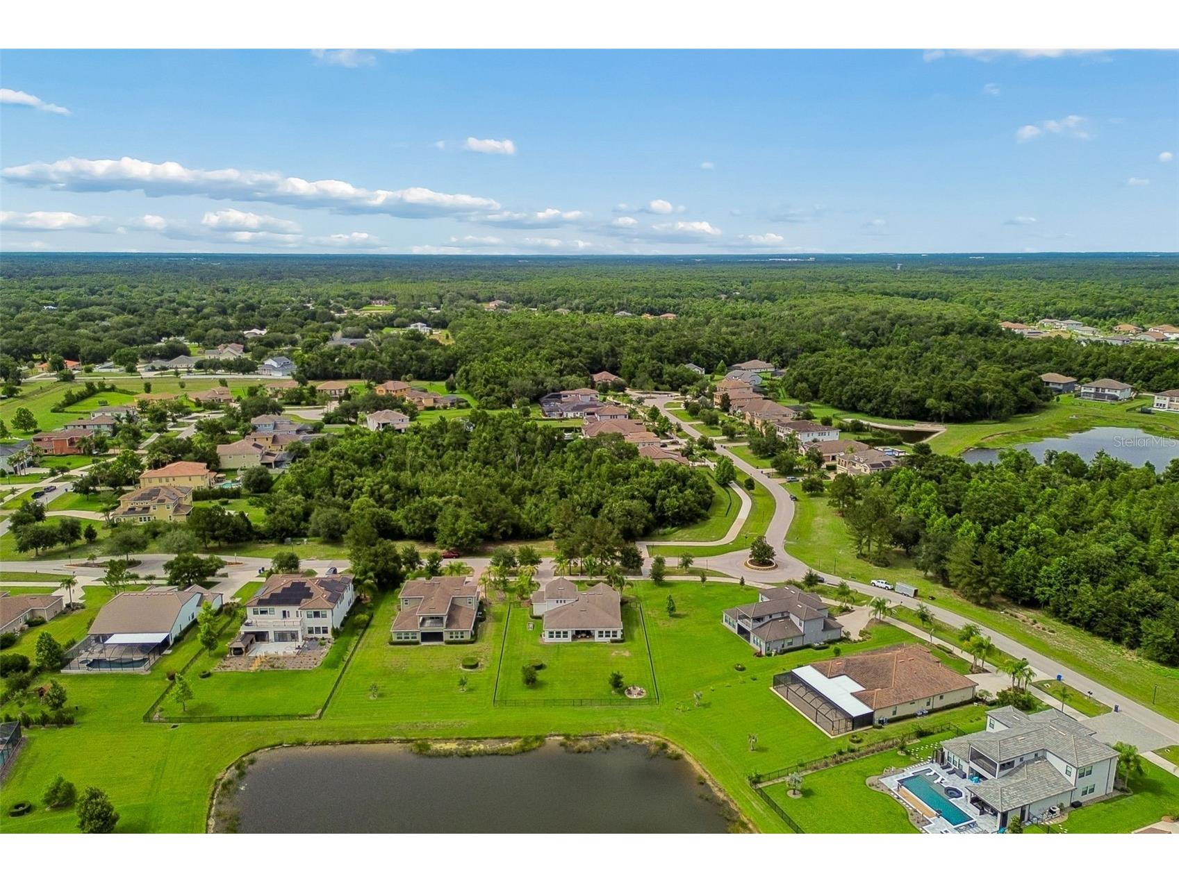 2709 Cordoba Ranch Boulevard Lutz FL 33559 TB8515820 image89
