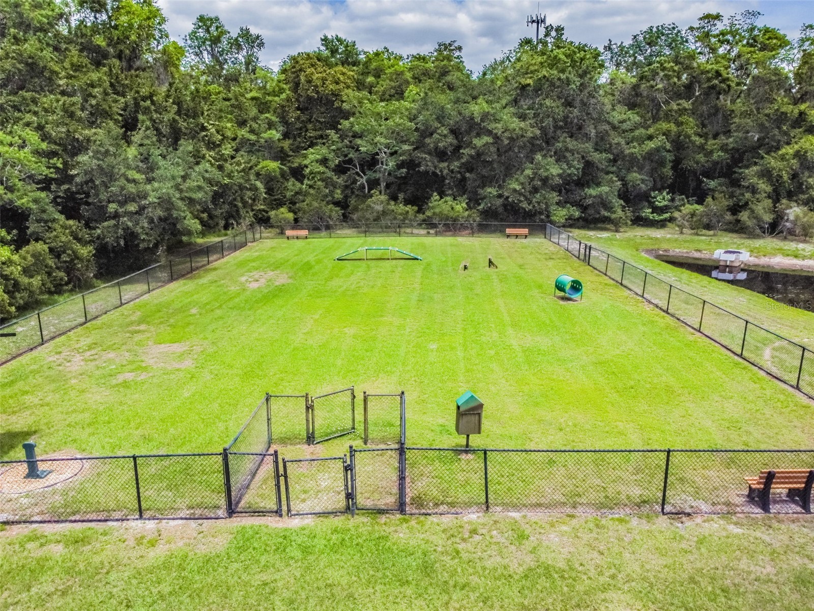 2709 Cordoba Ranch Boulevard Lutz FL 33559 TB8515820 image99