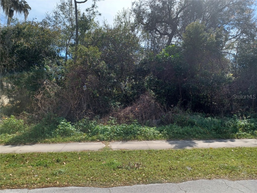 2709 Leafy Way Lane Deltona FL 32725 V4934873 image1