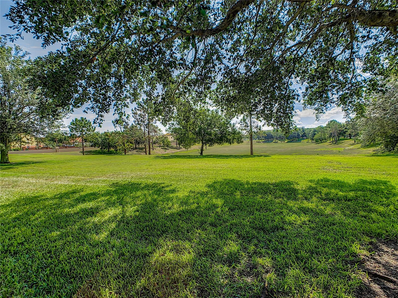 2709 Manesty Lane Kissimmee FL 34747 O6415823 image47