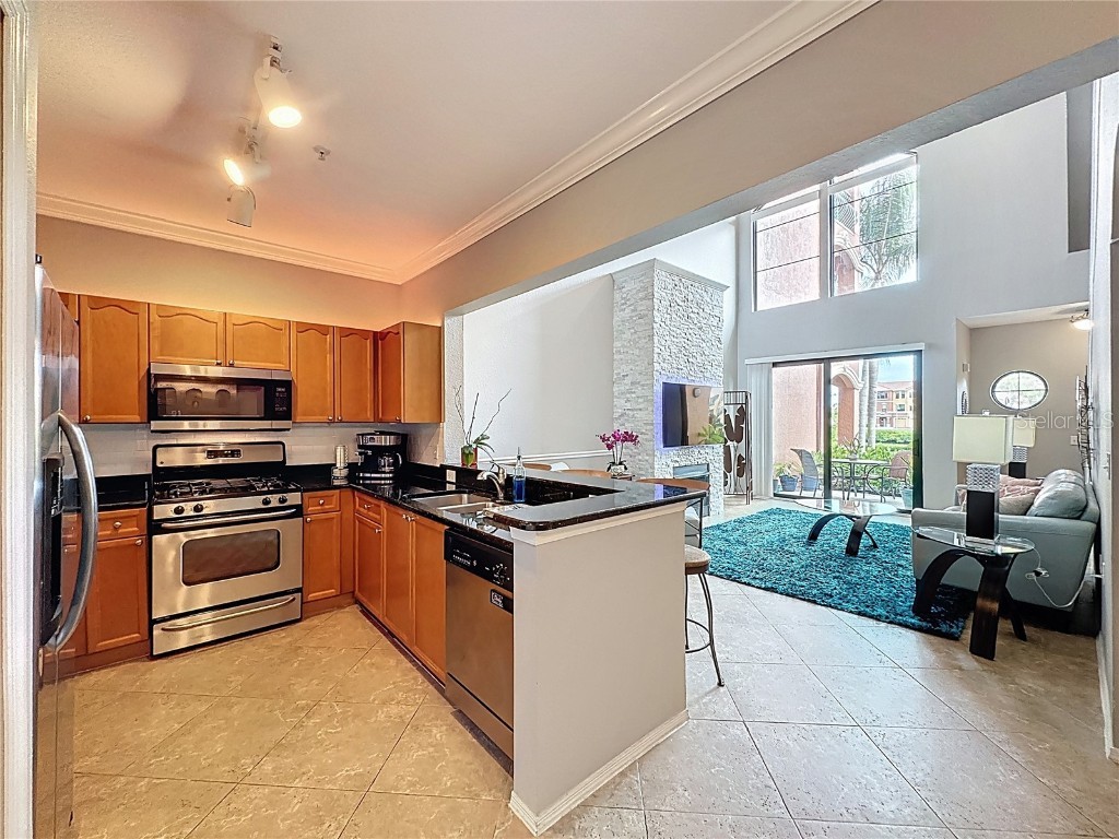 2709 Via Cipriani #515A Clearwater FL 33764 - TAMPA BAY O6365143 image8