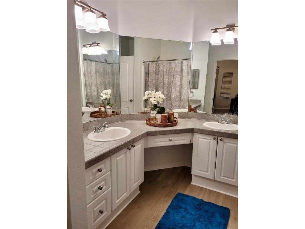 2709 Via Cipriani #531B Clearwater FL 33764 TB8442329 image14