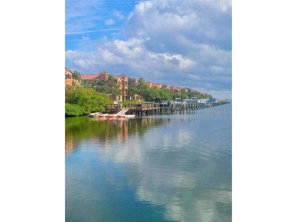 2709 Via Cipriani #531B Clearwater FL 33764 TB8442329 image25