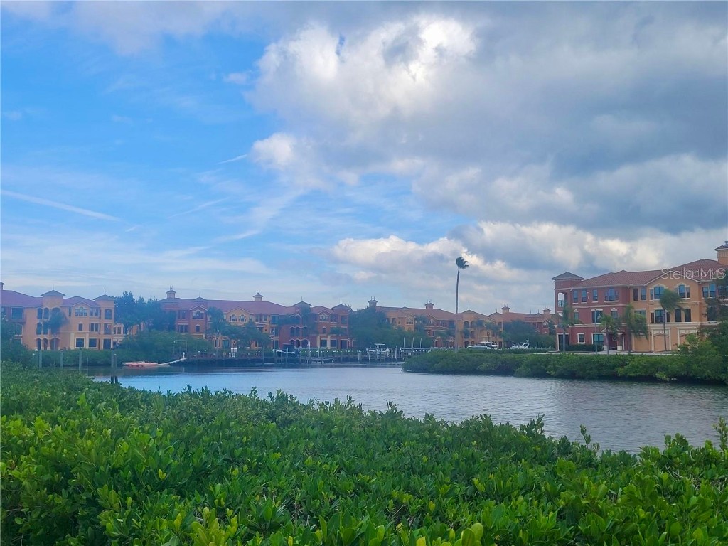 2709 Via Cipriani #531B Clearwater FL 33764 TB8442329 image27