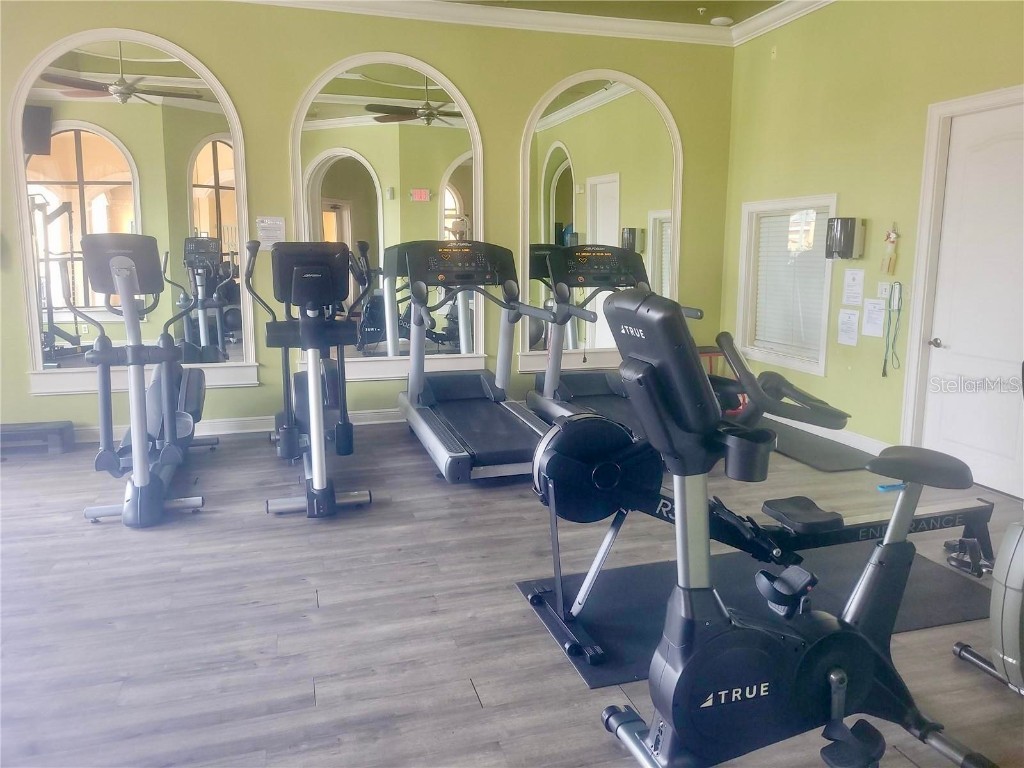 2709 Via Cipriani #531B Clearwater FL 33764 TB8442329 image30