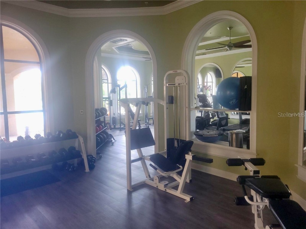 2709 Via Cipriani #531B Clearwater FL 33764 TB8442329 image31