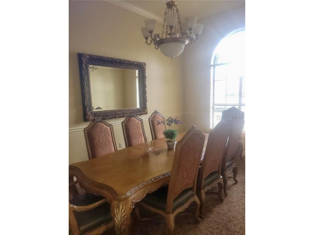 2709 Via Cipriani #531B Clearwater FL 33764 TB8442329 image38