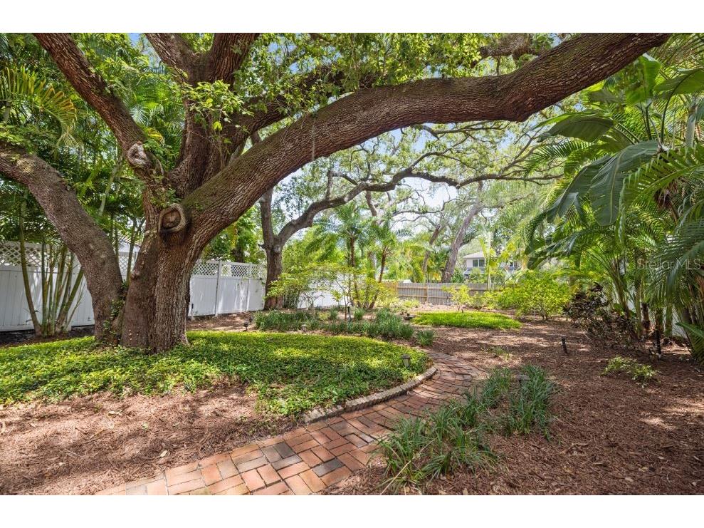 2709 W Bay Avenue Tampa FL 33611 TB8397913 image40