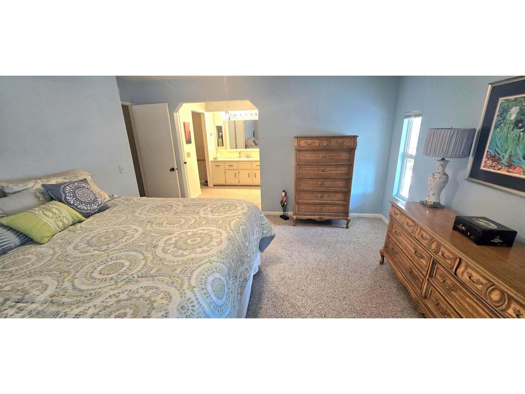 271 Colonial Boulevard #11 Palm Harbor FL 34684 - LAKE TARPON TB8525256 image15
