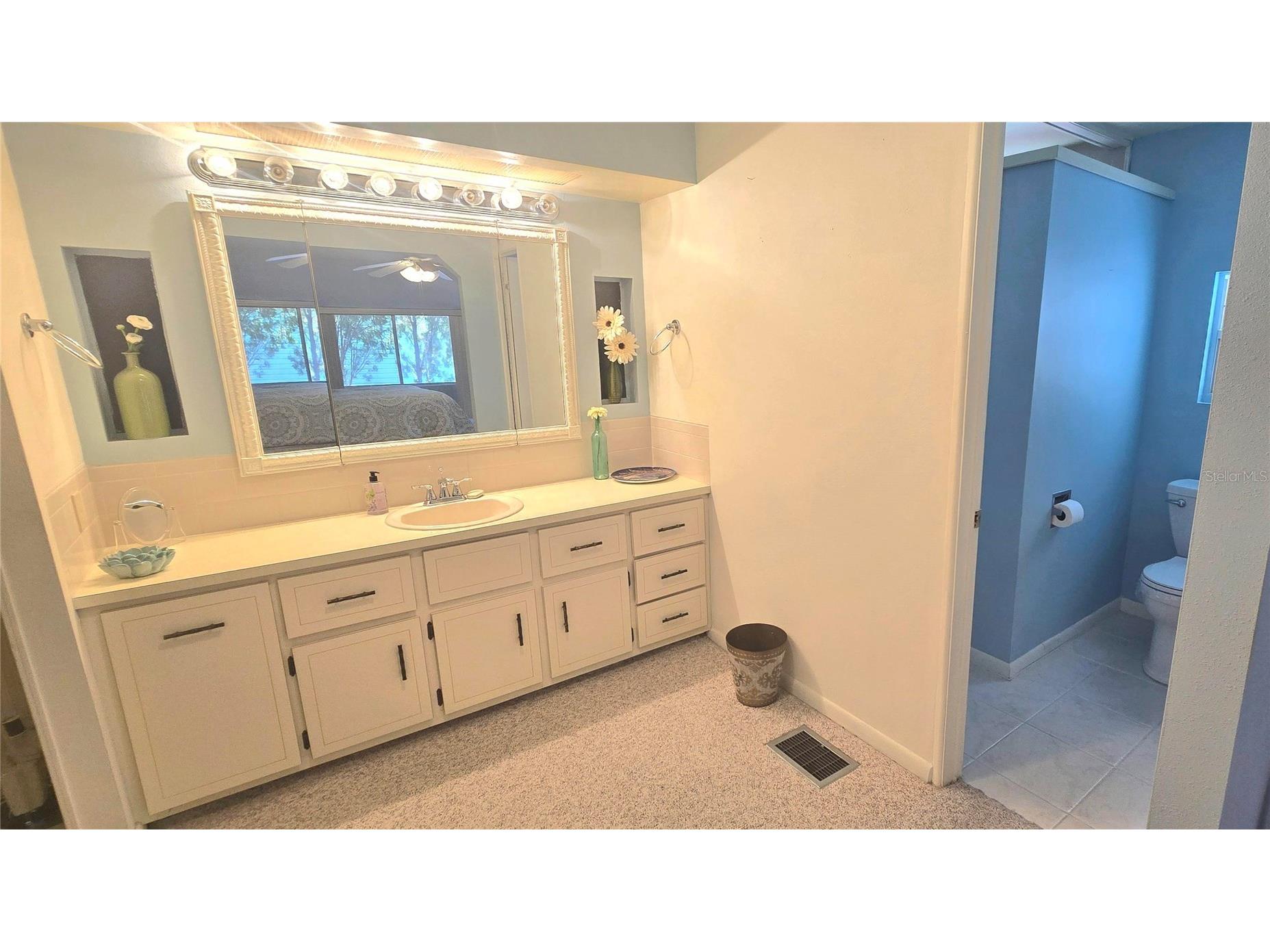 271 Colonial Boulevard #11 Palm Harbor FL 34684 - LAKE TARPON TB8525256 image17