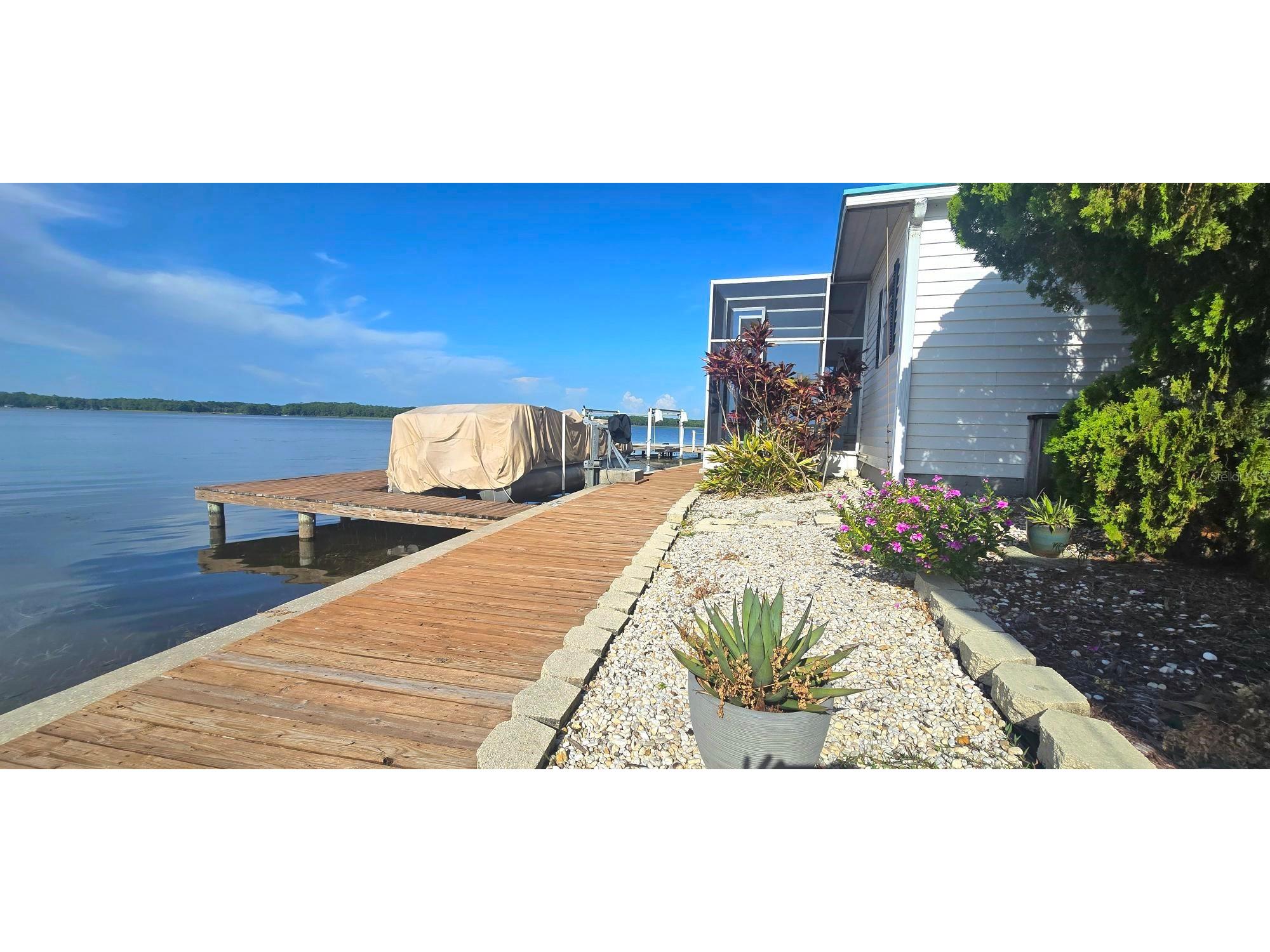 271 Colonial Boulevard #11 Palm Harbor FL 34684 - LAKE TARPON TB8525256 image3
