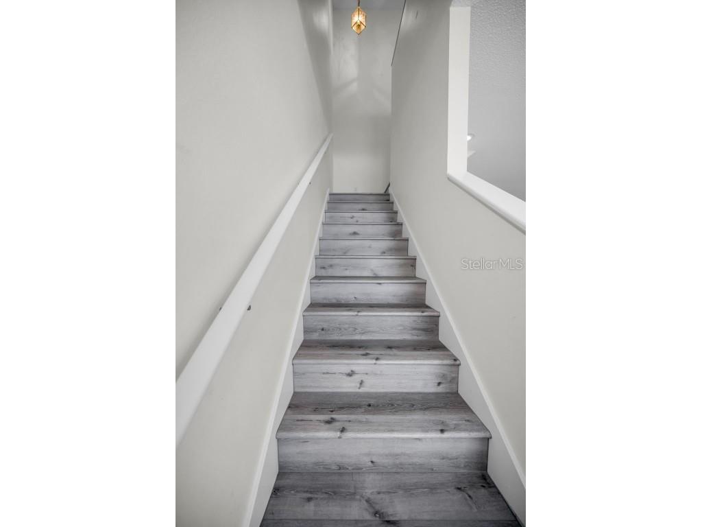 271 Hemingway Drive Oldsmar FL 34677 TB8426952 image13