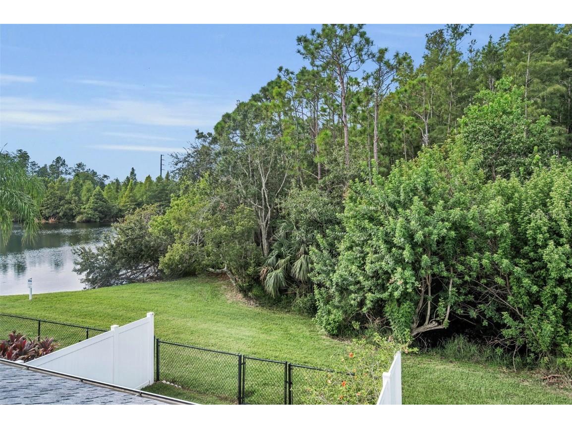 271 Hemingway Drive Oldsmar FL 34677 TB8426952 image18